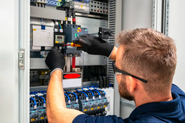 Best Electrical System Inspection  in Eslon, CA